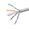 Cat 6 UTP Cable