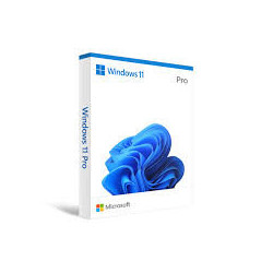Microsoft Windows 11 pro